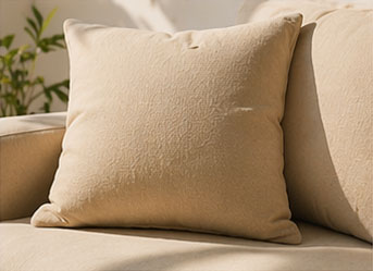 Outdoor Cushion Pillow